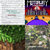 Rinzee thumbnail