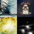 walter van der steen thumbnail