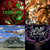 Erin Sullivan thumbnail