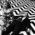 Tiefenhirnstimulation thumbnail