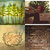 Lois Elizabeth Seco thumbnail