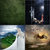 Richard Huffman thumbnail