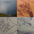 caracolquiscol thumbnail