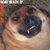 Richard Dotson thumbnail