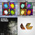 Ariel Costescu thumbnail