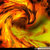 Ingrid Phoenix Doerksen thumbnail