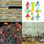 Addison Goldberg thumbnail