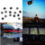 Winter Willows thumbnail