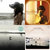 withoutmyecho thumbnail