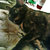 Erin Leah thumbnail