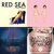 Sunny L thumbnail