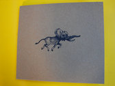 package image
