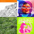 Matthew Pherigo thumbnail