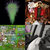 Cameron MacGregor thumbnail