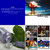 Felipe Oliveros thumbnail