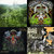 Matthew Graham thumbnail
