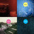 Sam Recker thumbnail