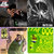 duncan grant thumbnail