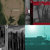 Rachel Aiello thumbnail