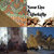 Paul Robertson thumbnail