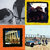 steven moore II thumbnail
