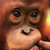 Tonbery0 thumbnail