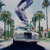 Javi Der thumbnail