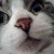 Josette K thumbnail