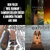 Josh Mawdsley thumbnail