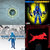 Enigmantis thumbnail