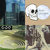 NLNZ Acquisitions thumbnail