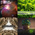 Regis Philburn thumbnail