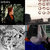 servee smeets thumbnail