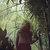 apenina thumbnail