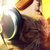 dmnc thumbnail