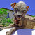 Unkle Kronoz thumbnail