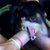 El Bailey thumbnail