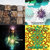 Ryan Rybolt thumbnail