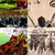 Jason Zorn thumbnail