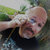 Lou Columbus thumbnail