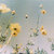 Agnes Klimaite thumbnail