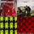 some body thumbnail