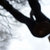 J Davies thumbnail