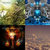 christopher wunderlich thumbnail