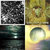 Maximilian Anthony thumbnail