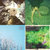 Michael Luhinec thumbnail