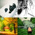 W Mansour thumbnail