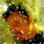 Tim Gummer thumbnail