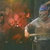 Damian Castrejon thumbnail