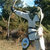 Geoff Boxell thumbnail
